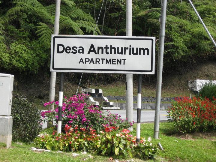 Sa Apartments @ Desa Anthurium Камерон-Хайлендс Экстерьер фото
